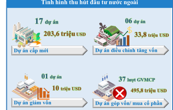 The situation of attracting FDI in the first quarter of 2023 in Binh Duong province